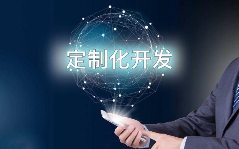 ERP系统定制