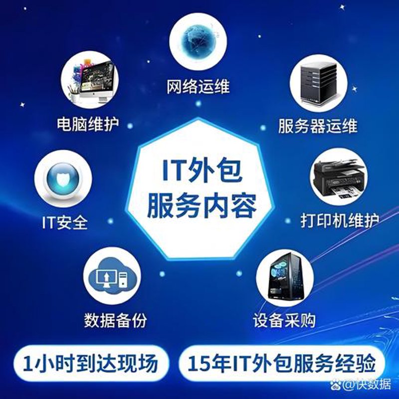 软件维护外包
