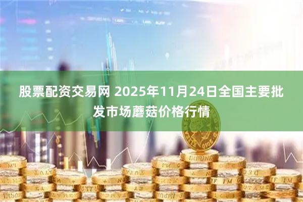 股票配资交易网 2025年11月24日全国主要批发市场蘑菇价格行情
